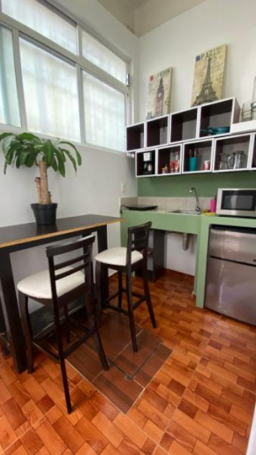 Acogedor estudio 1 parral